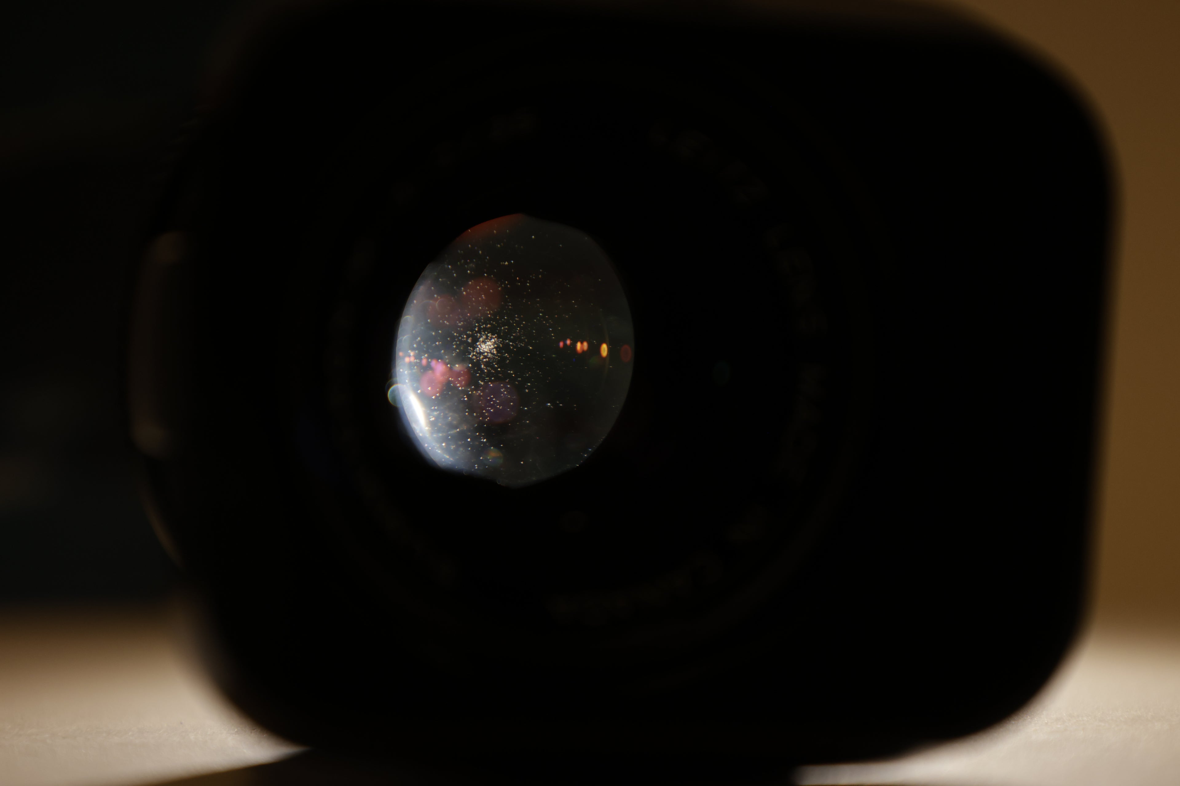_Z8A5874.JPG