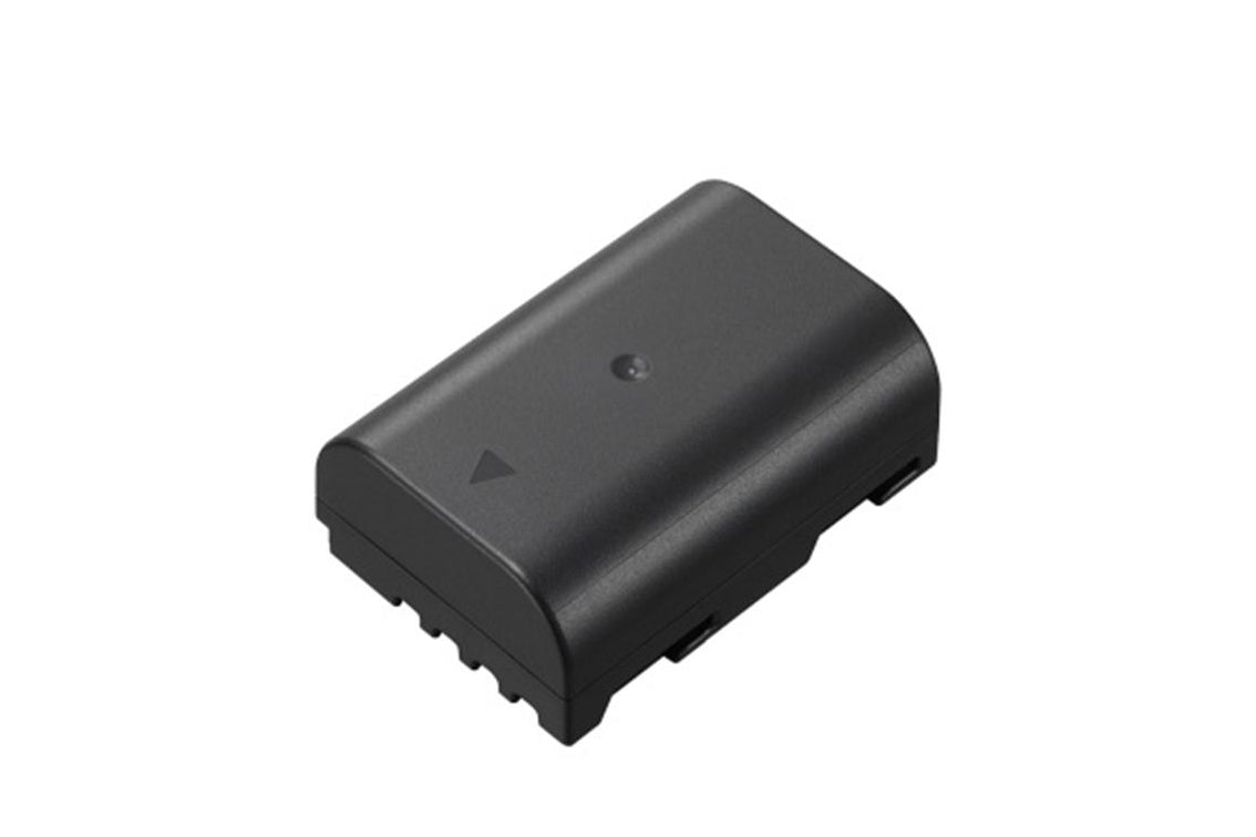 panasonic-DMW-BLF19.jpg